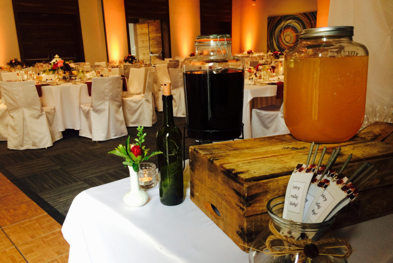  Wedding in Kongres Hotel Roca