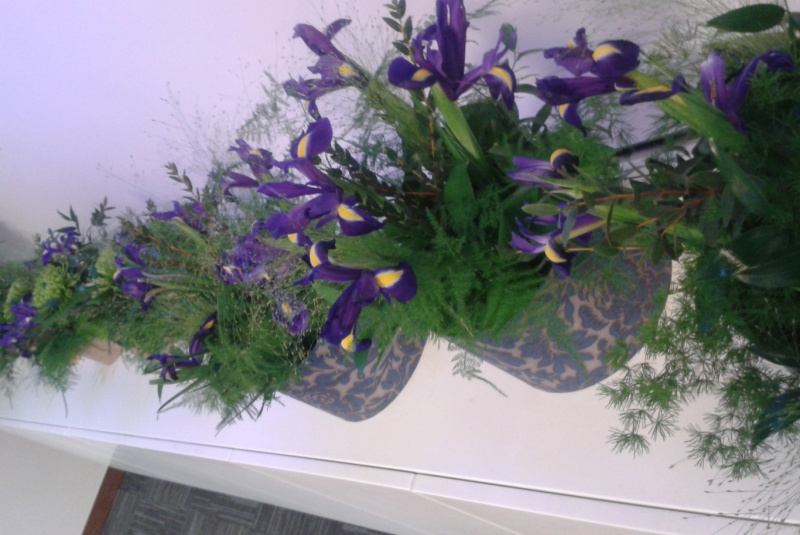 10. years Stredná spojená school - RAUT 10. years Stredná spojená school - RAUT