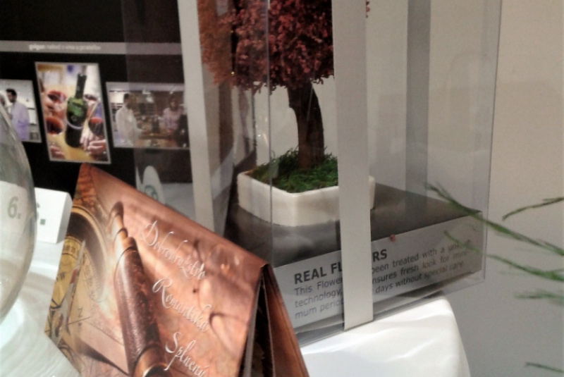 RUSNÁCKY SILVESTER III RUSNÁCKY SILVESTER III