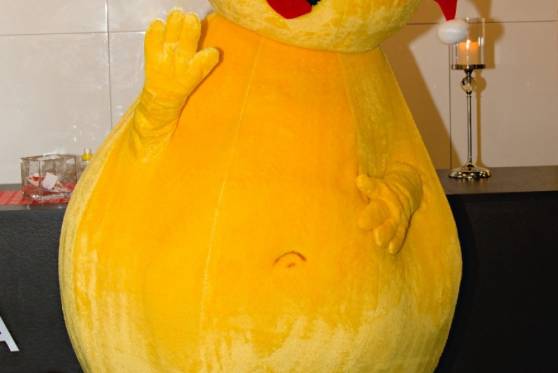 Children party december 2015 with Maša and bear