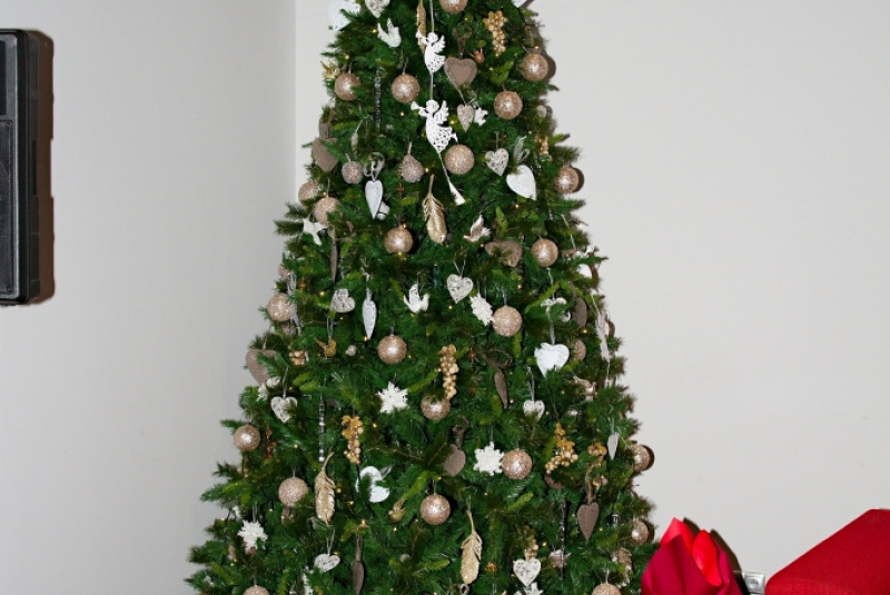 Children party december 2015 with Maša and bear Children party december 2015 with Maša and bear