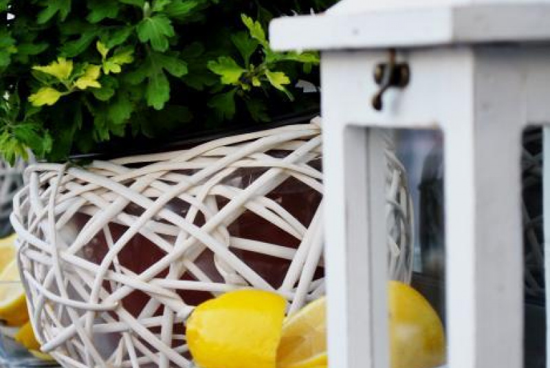 Garden party ROCA 08/30/2013 Garden party ROCA 08/30/2013