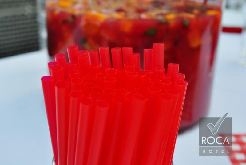 Garden party ROCA 08/30/2013 Garden party ROCA 08/30/2013