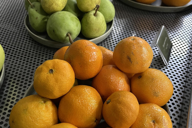 Raňajková ponuka Raňajková ponuka